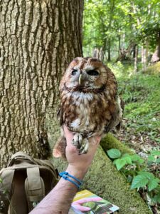 Sussex Barn Owl Group - Spring Activities Update - 1 Sussex Barn Owl Group - Spring Activities Update -