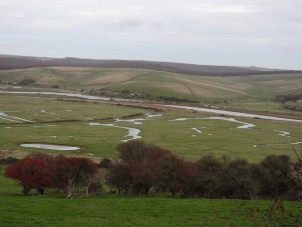 Chyngton Brooks/Lower Cuckmere Restoration -