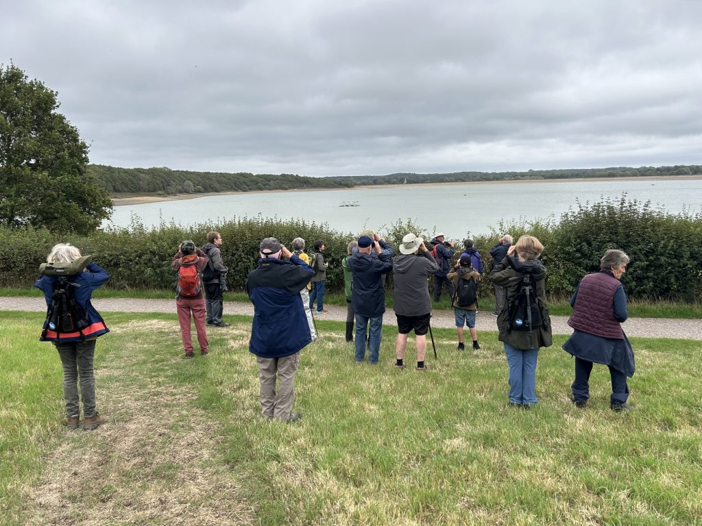 A Walk Around Ardingly Reservoir, with Sand Martins, House Martins, and Spotted Flycatchers - 2 Photo of a group looking through binoculars