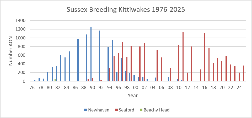 Kittiwake Colony Abandons Seaford Site During Summer Heatwave - 4 A graph of Apparently Occupied Nests recorded for Kittiwakes breeding in Sussex from 1976 to 2025, showing the migration from Newhaven to Seaford and the population decline since 2016