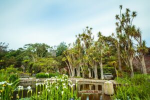 Logan Botanic Garden
