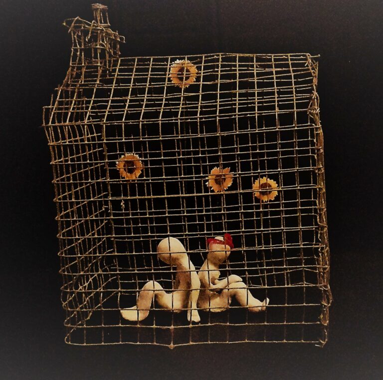 The Two Character Play by Tennessee Williams