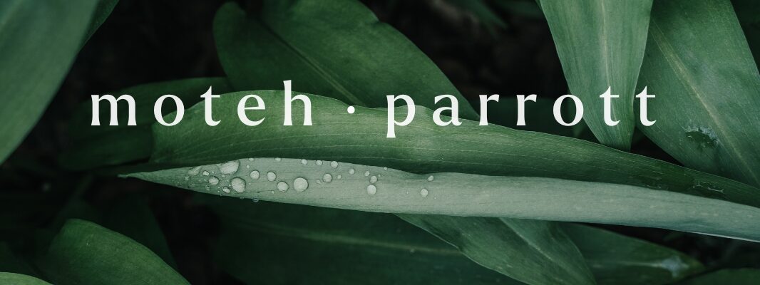 Moteh Parrott