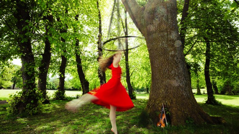 The Flying Ceilidh