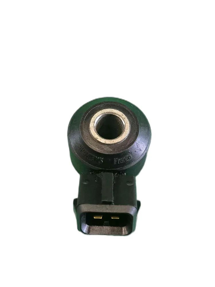 Sensor