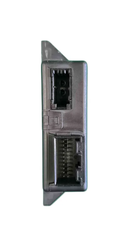 Electronic Module