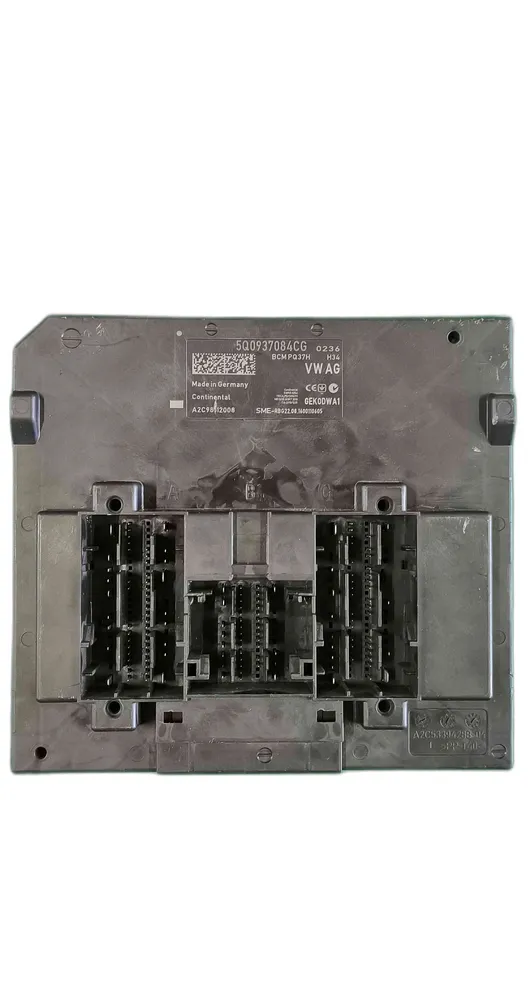 Electronic Module