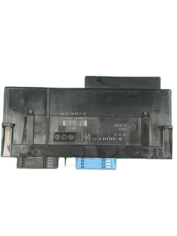 Electronic Module