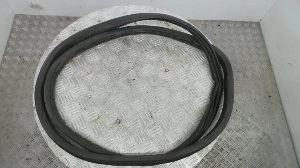 Borracha Porta Tras Esquerda