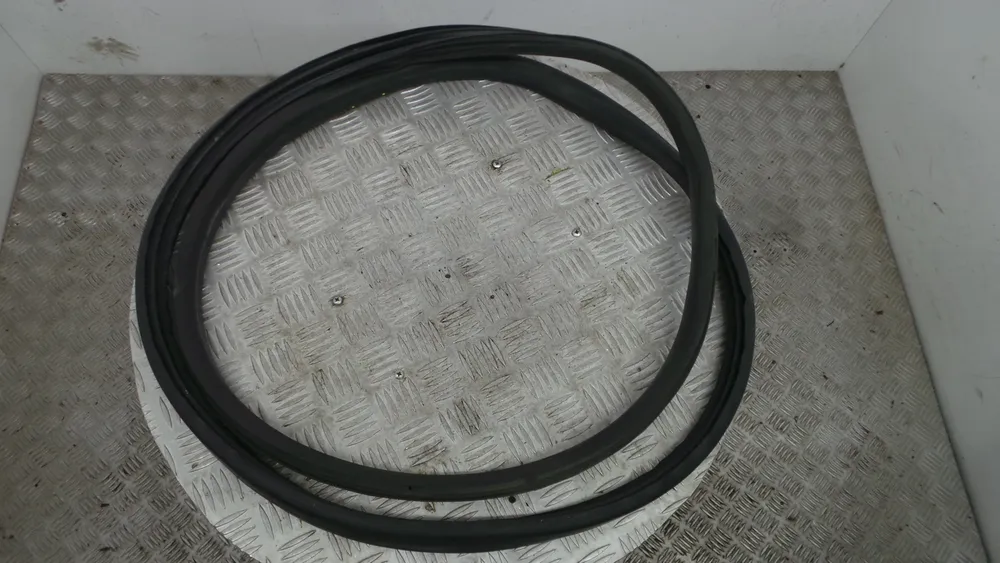 Borracha Porta Tras Esquerda