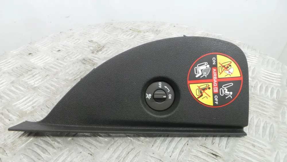 Plastico Interior