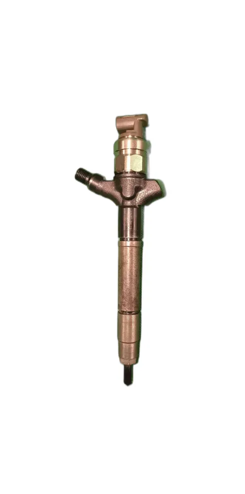 Injetor
