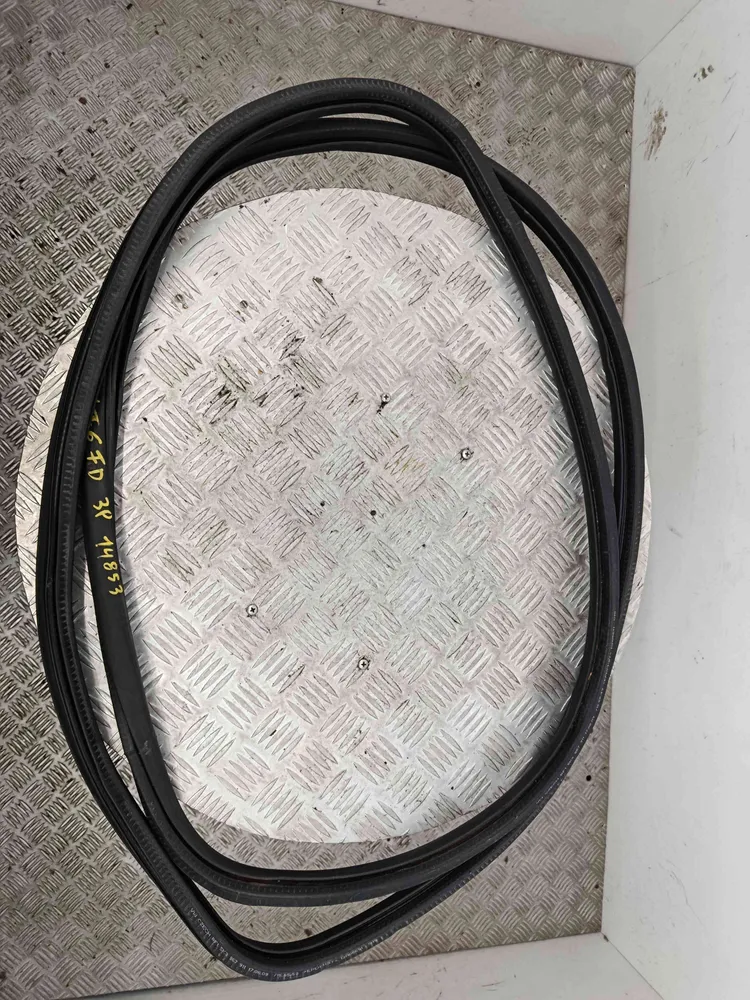 Borracha Porta Direita
