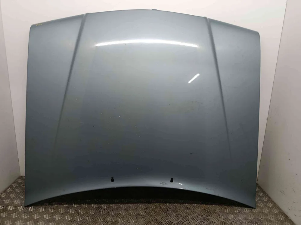 Motorhaube
