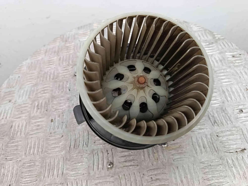 Motor da Chauffage / Sofagem