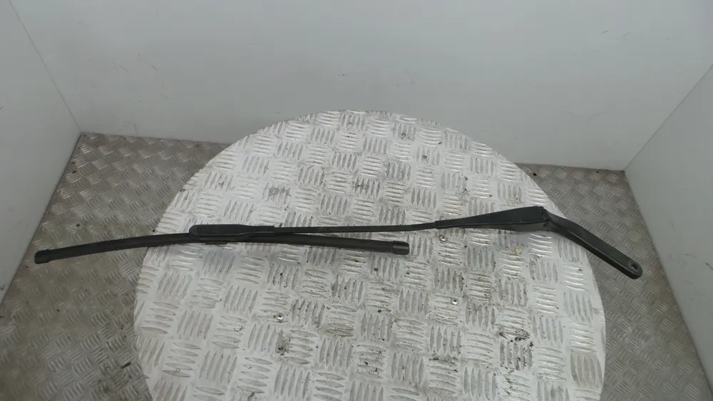 Braço Direito Limpa Para brisas