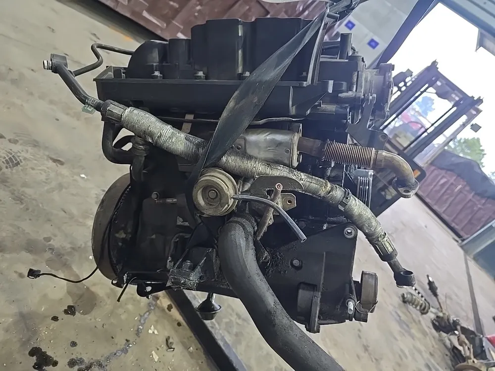 Motor