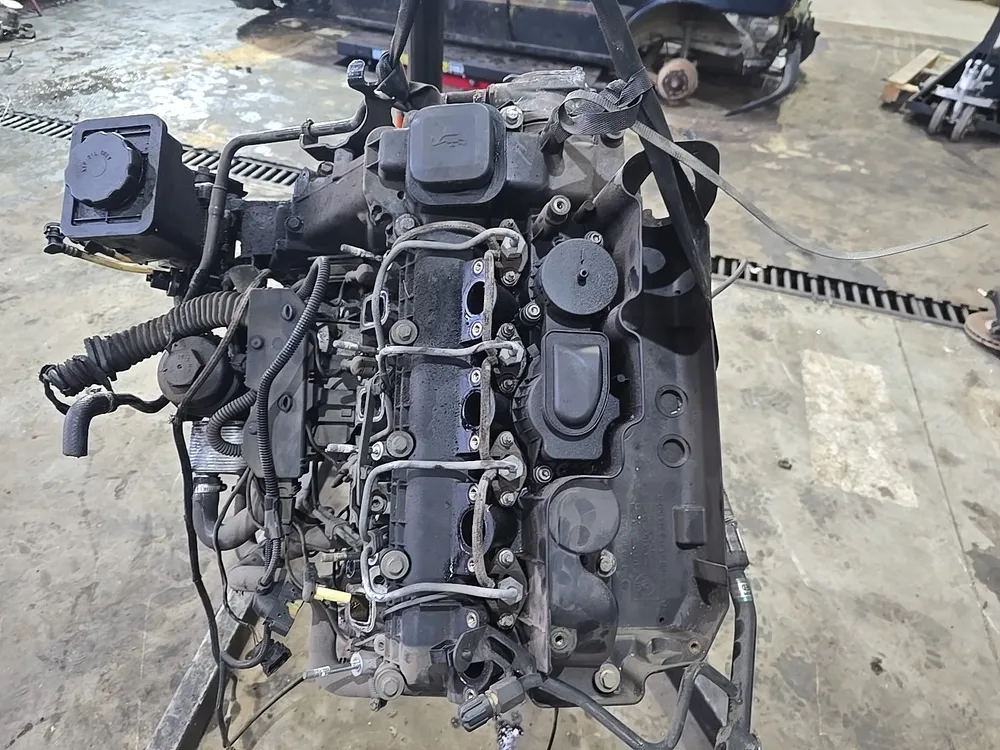 Motor