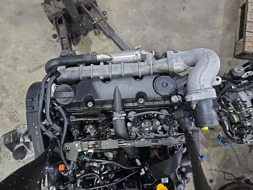 Motor