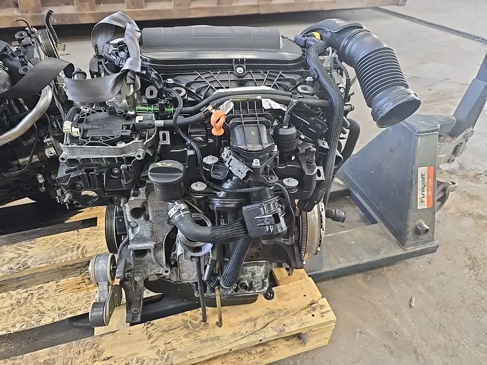 Motor