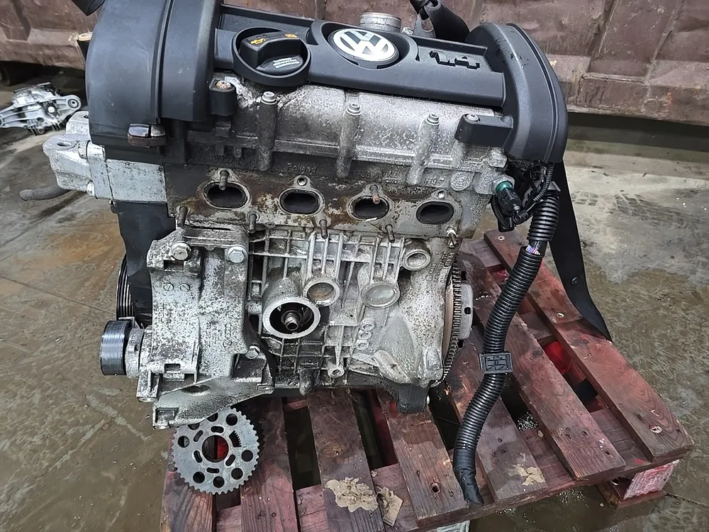 Motor