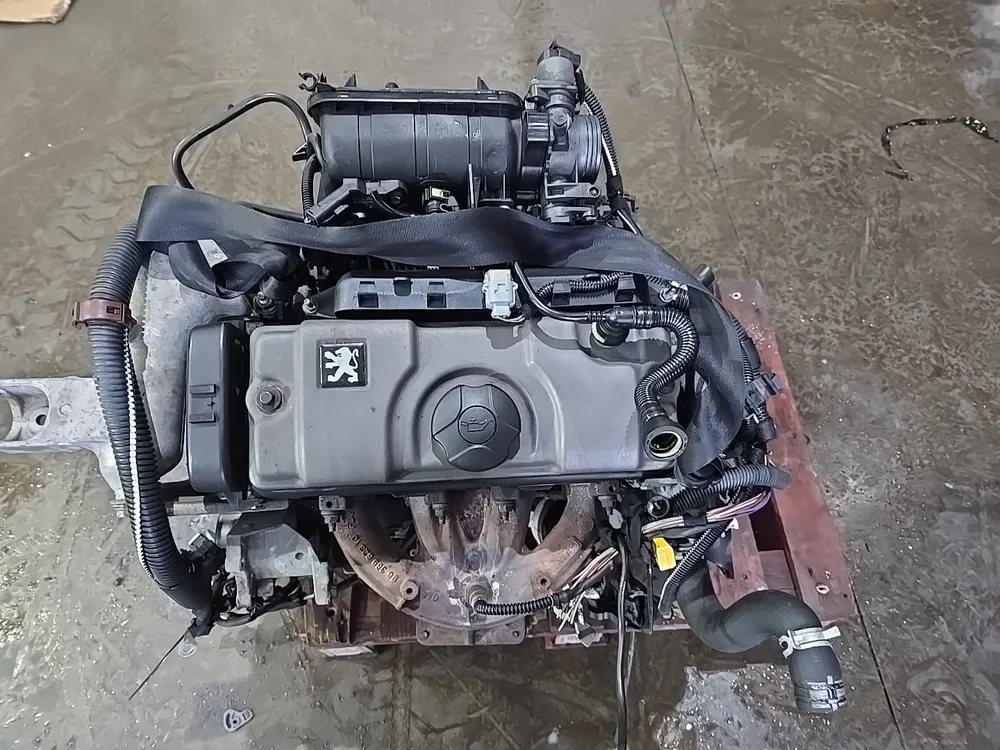 Motor