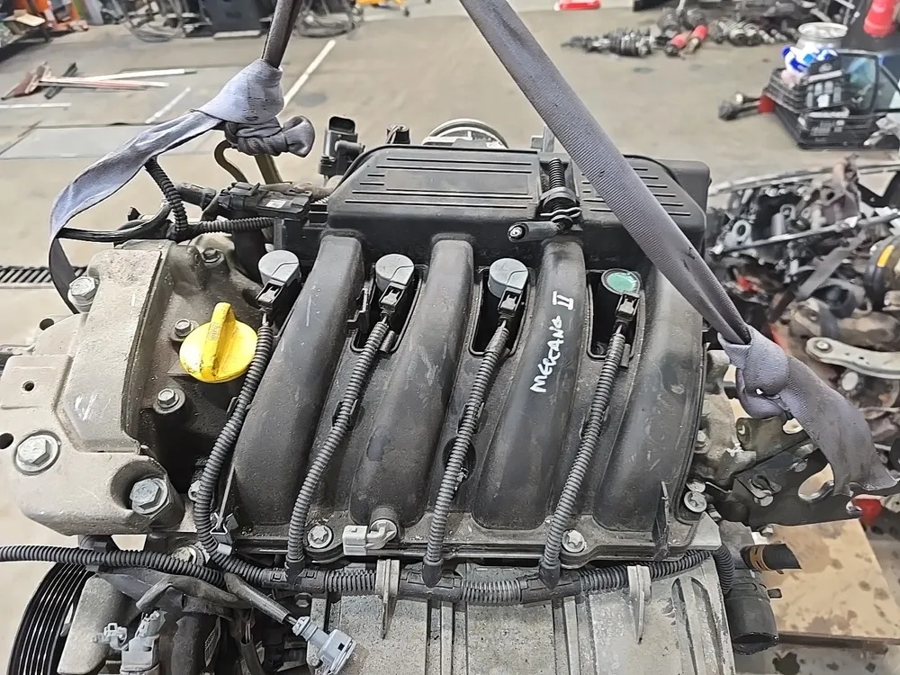 Motor