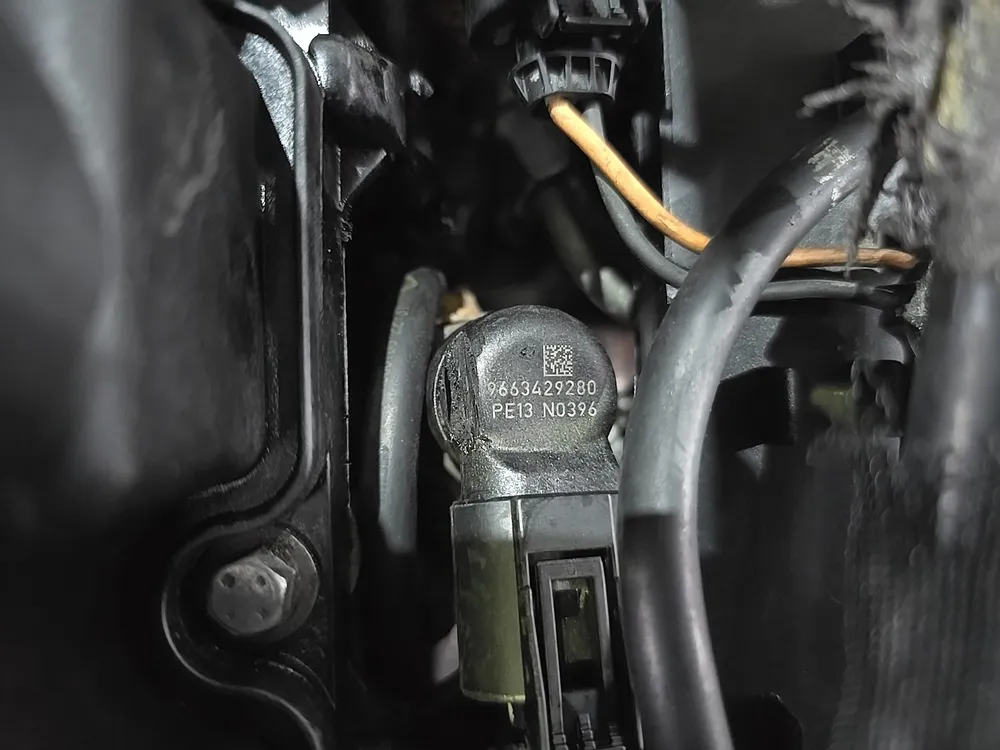 Motor