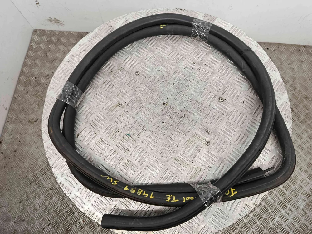 Borracha Porta Trás Esquerda