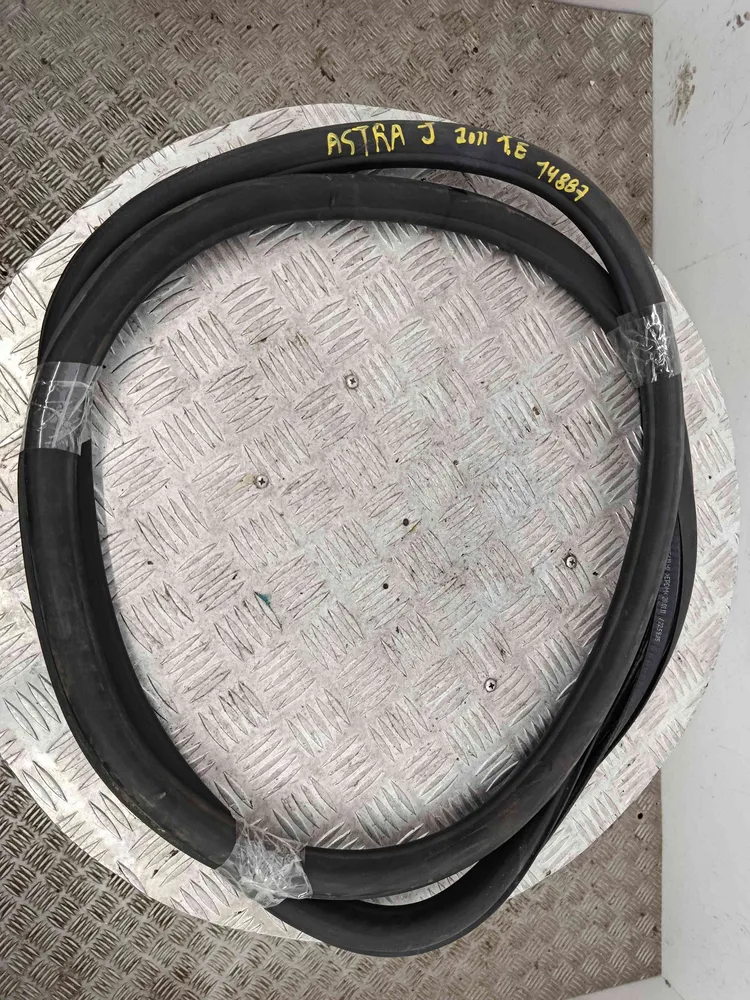 Borracha Porta Trás Esquerda