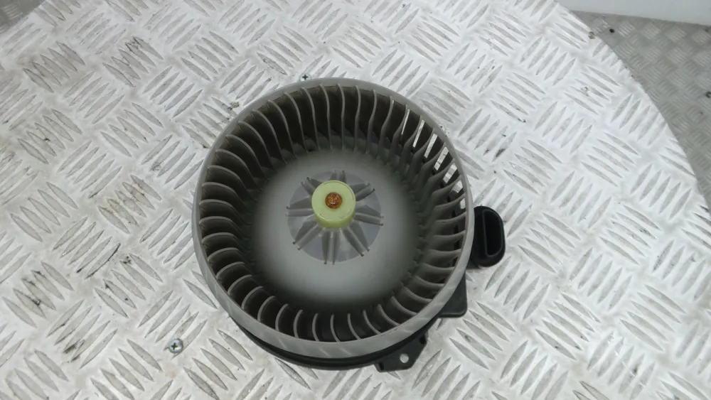 Motor da Chauffage / Sofagem