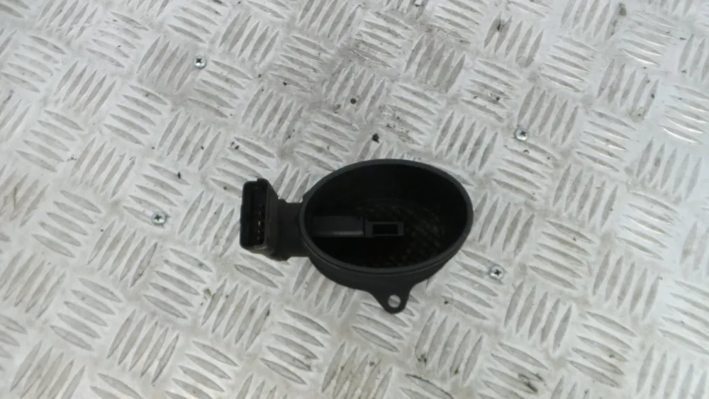 Mass Air Flow Sensor (MAF)