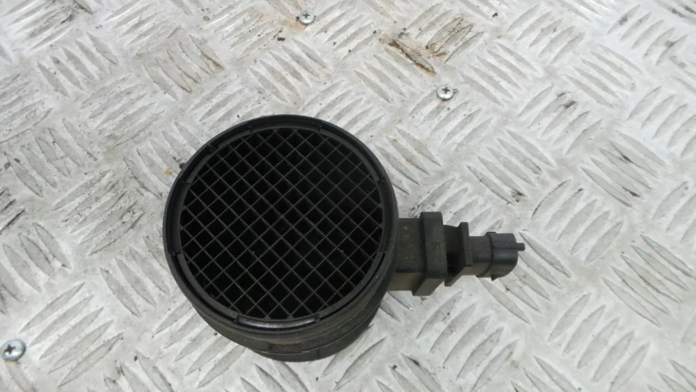 Mass Air Flow Sensor (MAF)