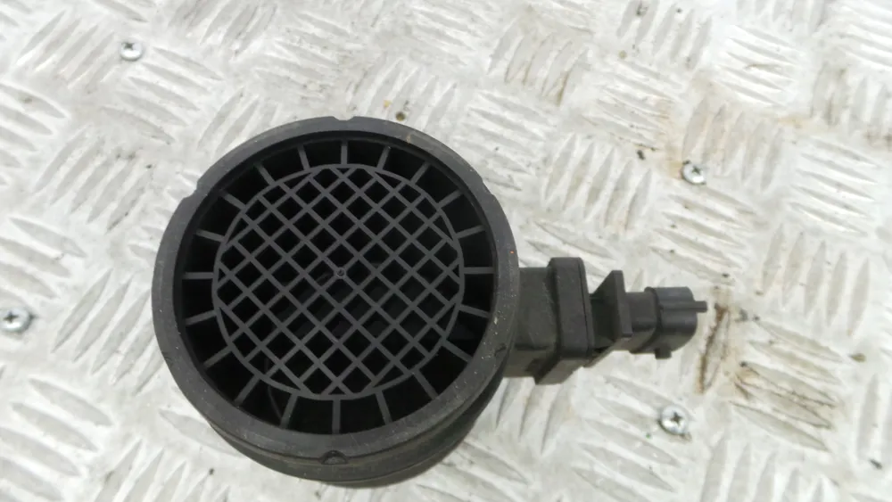 Mass Air Flow Sensor (MAF)