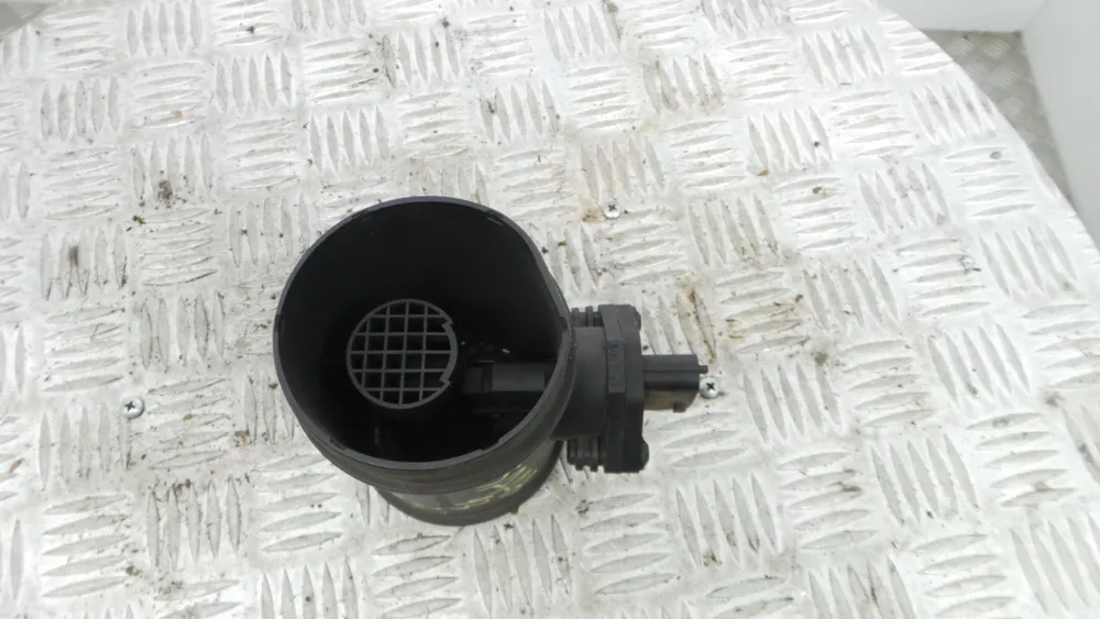 Mass Air Flow Sensor (MAF)