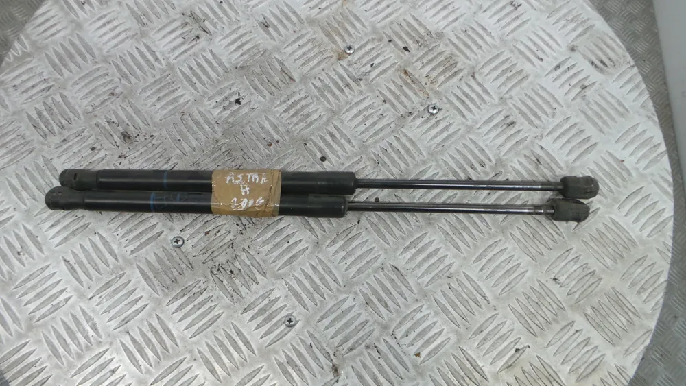 Gasfeder Kofferraum