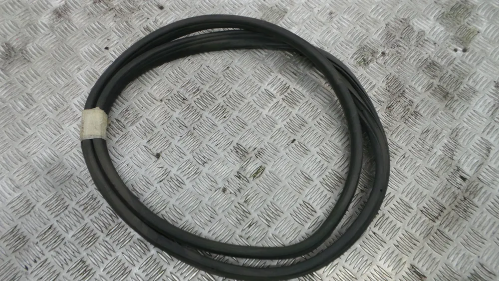 Borracha Porta Tras Esquerda