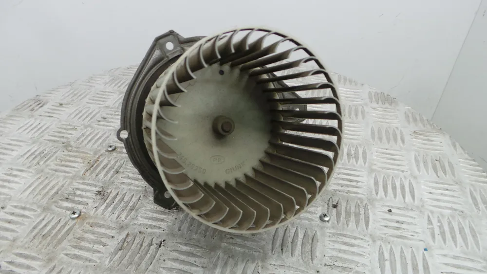 Motor da Chauffage / Sofagem