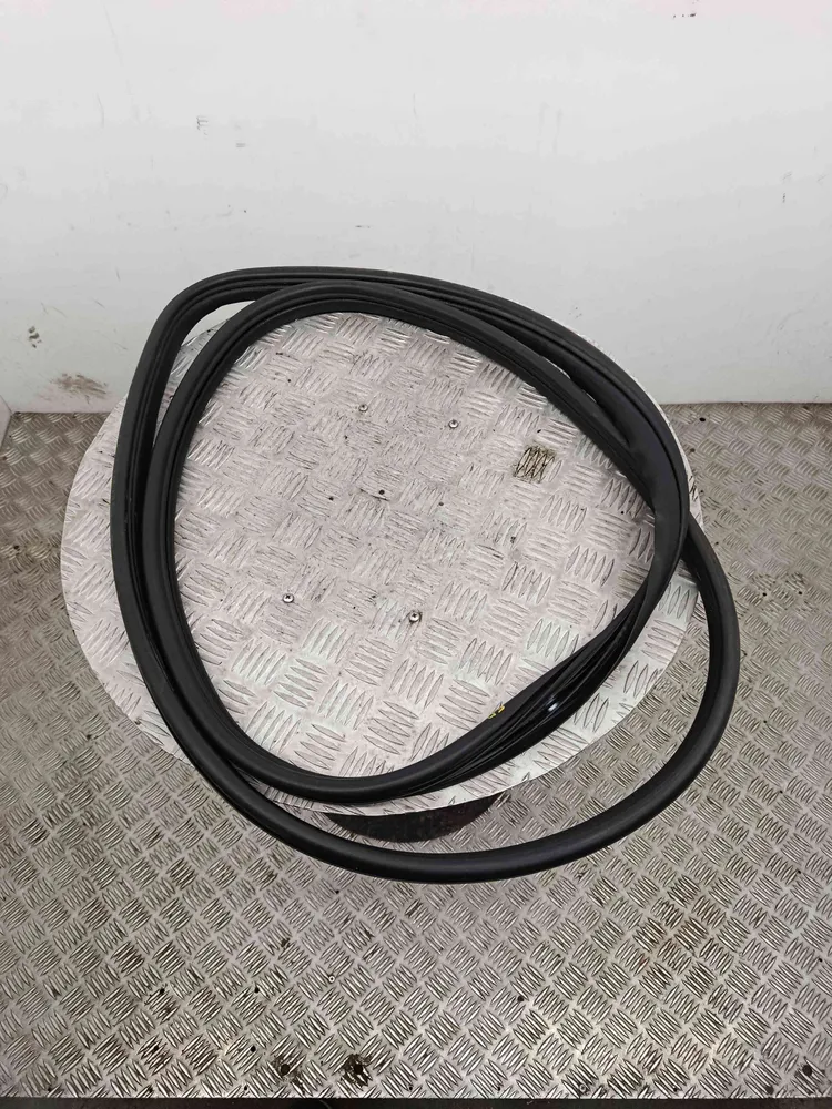 Borracha Porta Frente Direita