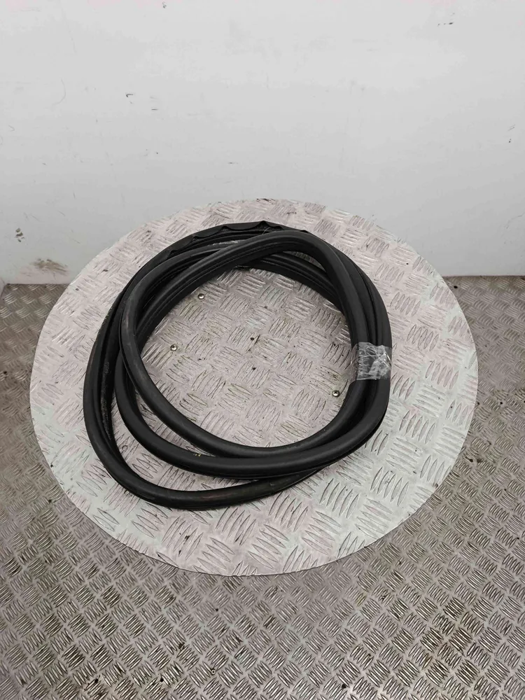 Borracha Porta Trás Esquerda