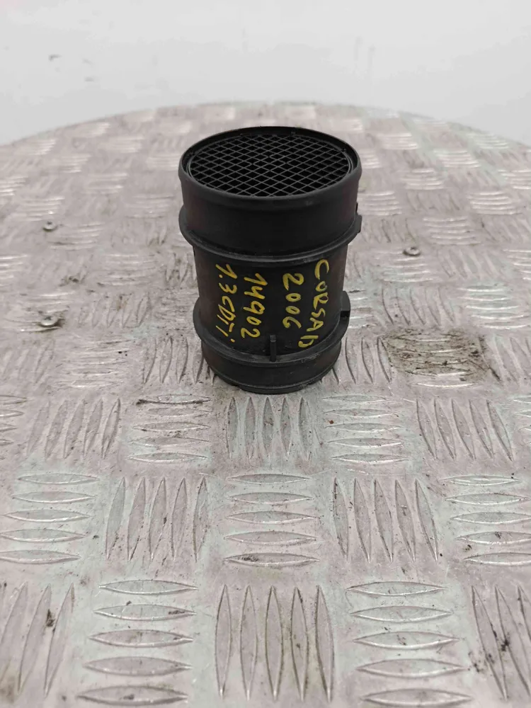Mass Air Flow Sensor (MAF)