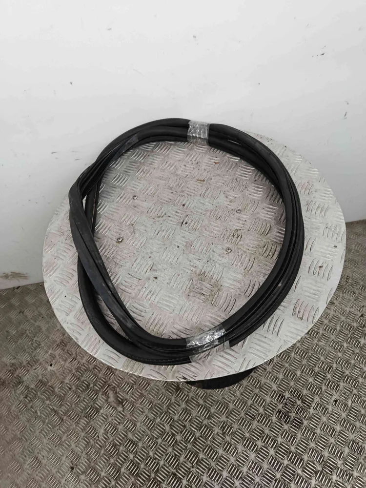 Borracha Porta Tras Direita