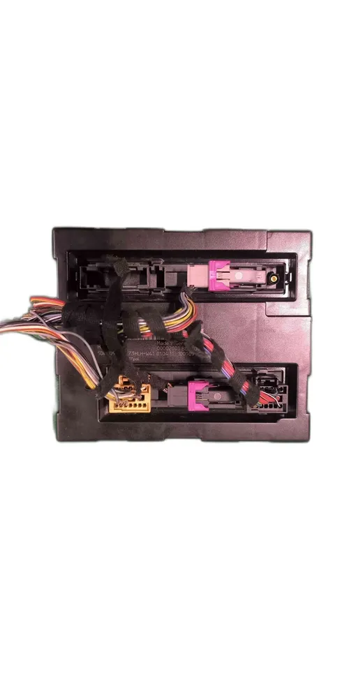 Electronic Module