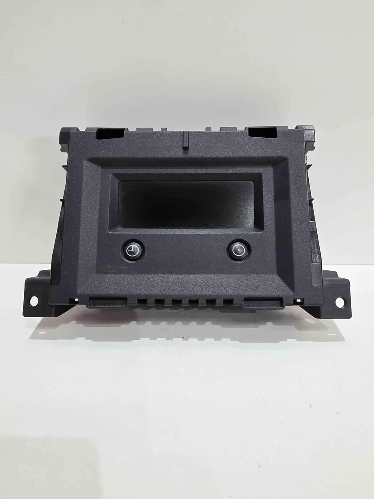 Display Monitor