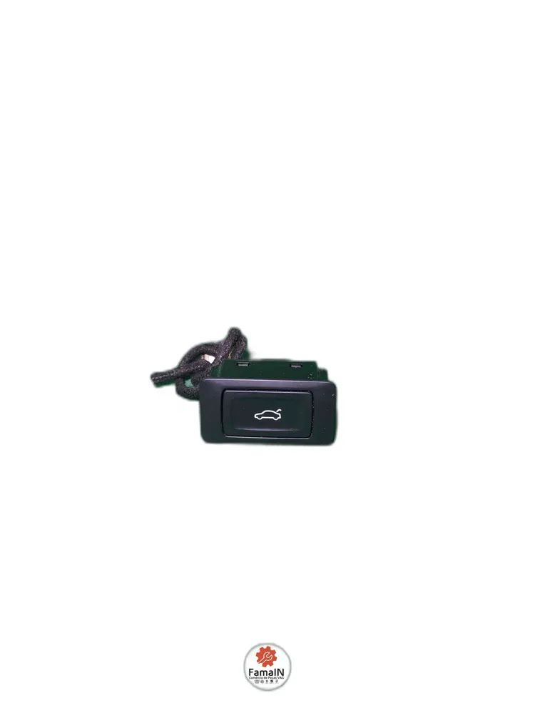 Trunk Release Button/Switch