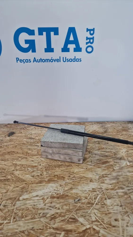 Trunk Shock Absorber
