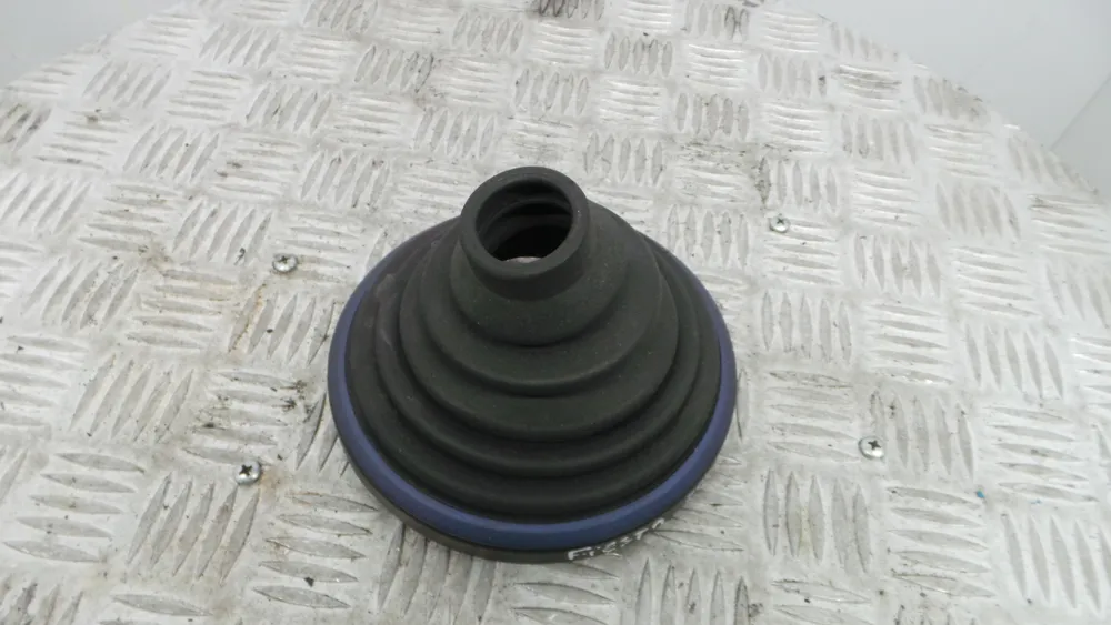 Moca / Fole de Mudanças