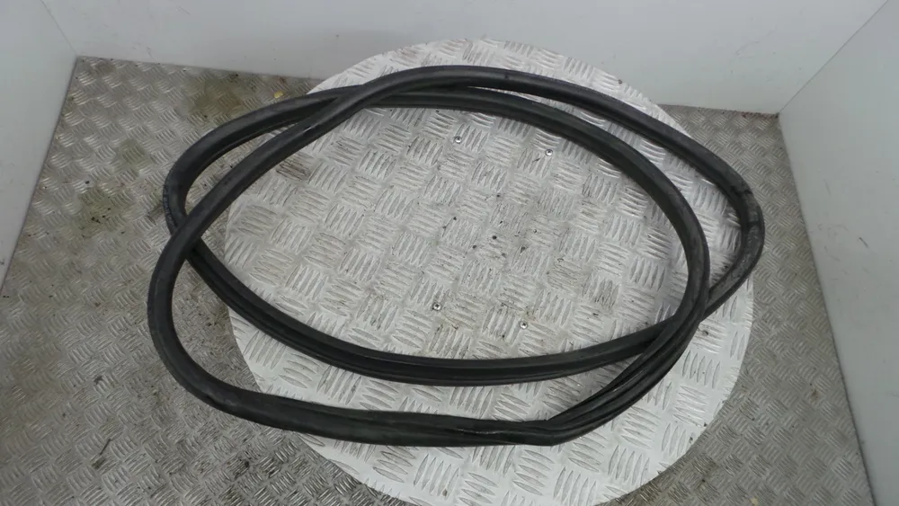 Borracha Porta Tras Direita