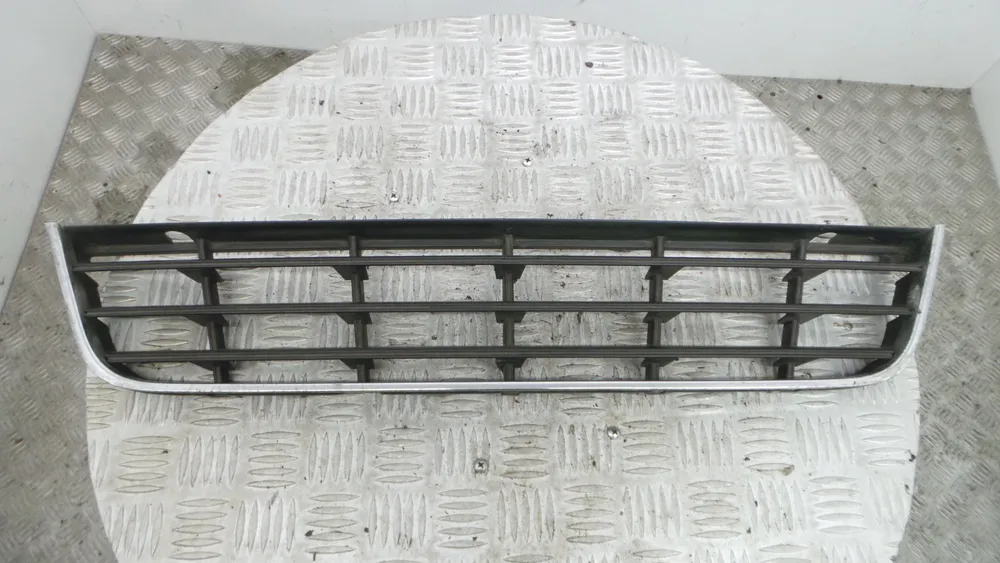 Griglia paraurti centrale