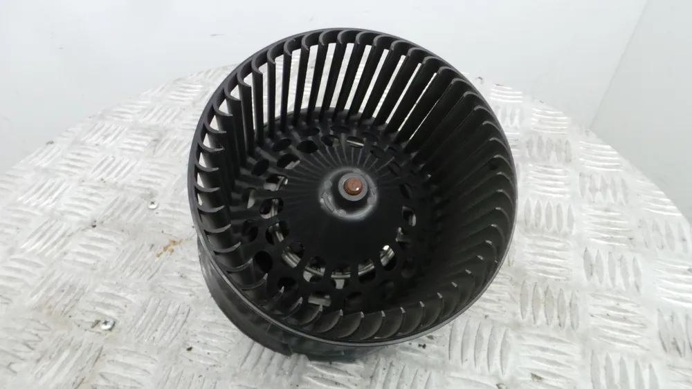 Motor da Chauffage / Sofagem